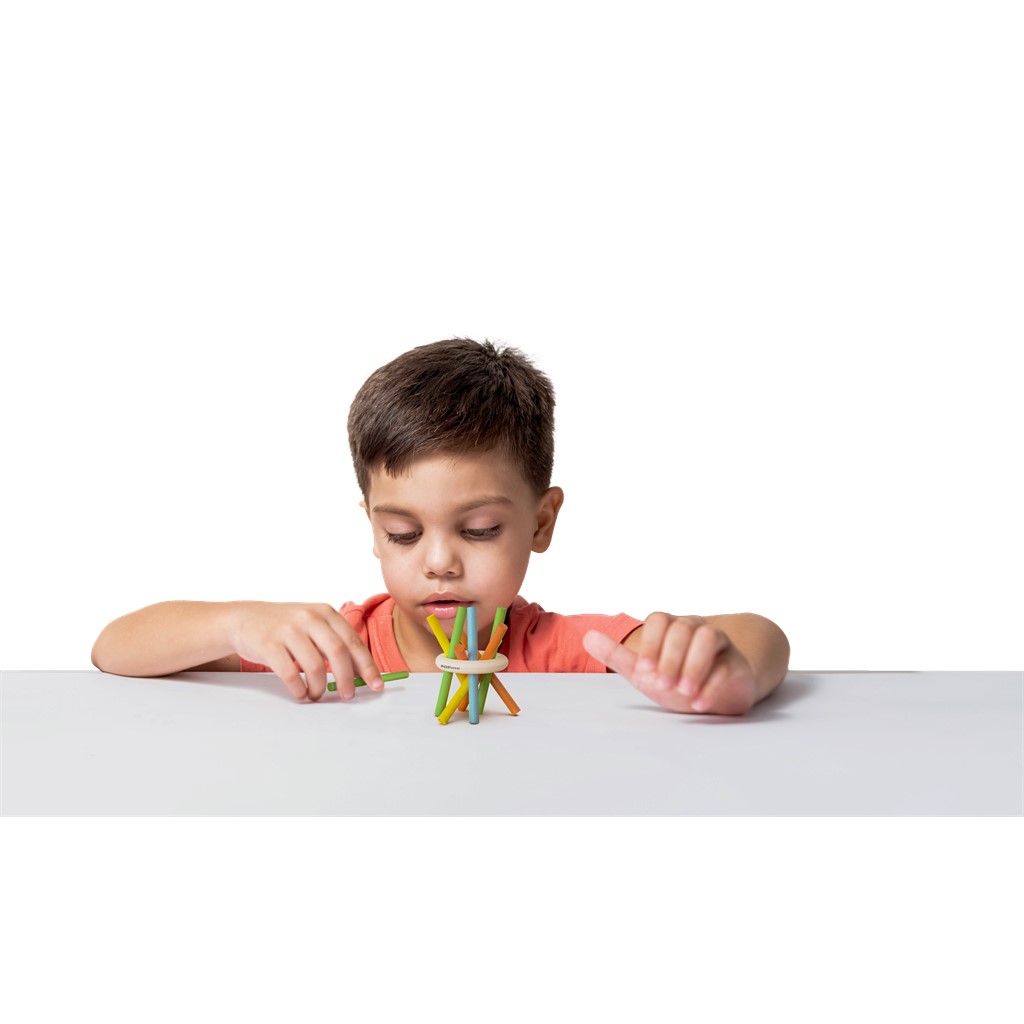 Wooden Toy