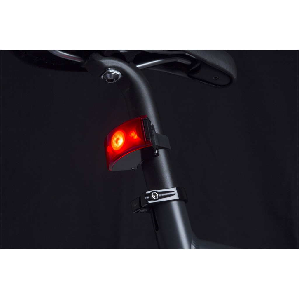 Curve Light Back